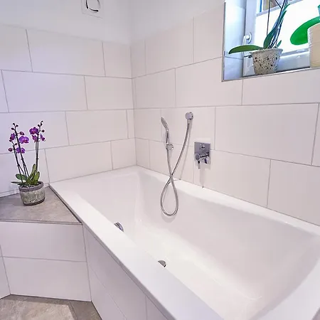 Bergblick Acht Mondsee