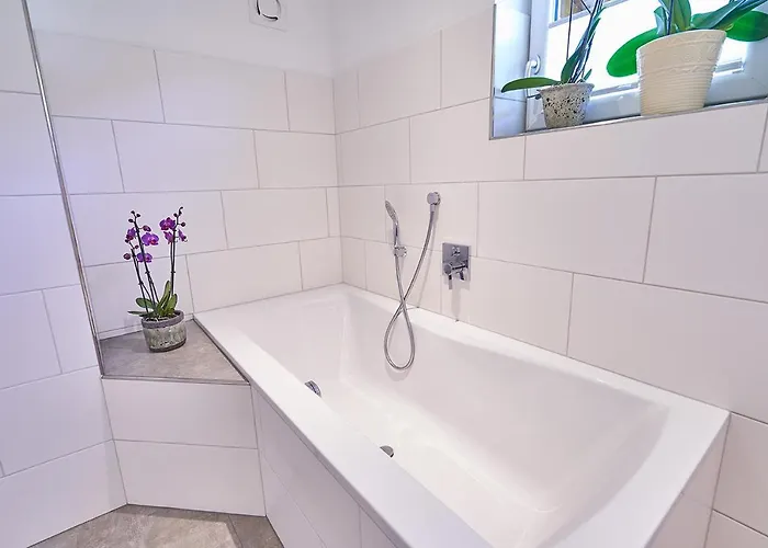 Bergblick Acht Mondsee